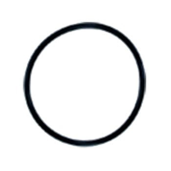 

O-Ring for Watts Flowmatic 4500 & 8000 Filter Housings EPDM