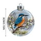 thumbnail image 3 of Herunwer Winter Birds Christmas Glass Bauble Collection, Nature’s Birds Crystal Glass Ornament, Cute Hummingbird Christmas Tree Ornaments, 3 of 6
