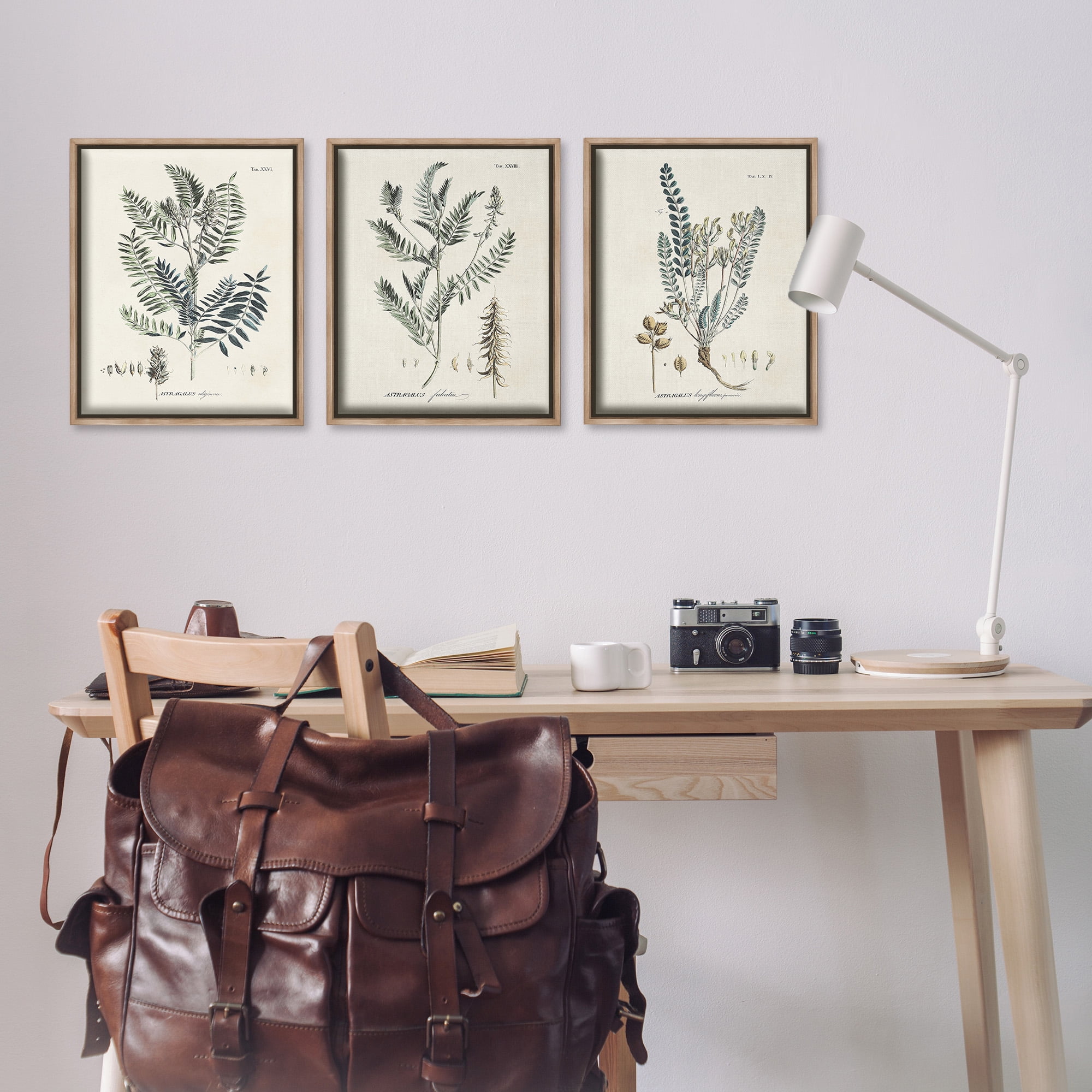 Stupell Industries Woodland Plant Studies Botanical & Floral Painting Brown Floater Framed Canvas Art Print Wall Art, 17 x 21, Set of 3