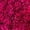 Purple, variant on Member's Mark Carnations, choose color and stem count