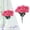 A, variant on Clearance Under $1 Artificial Carnation Pick 7-Fork Carnation Spray For Living Room Vase Filler,Plastic White (1Pc)