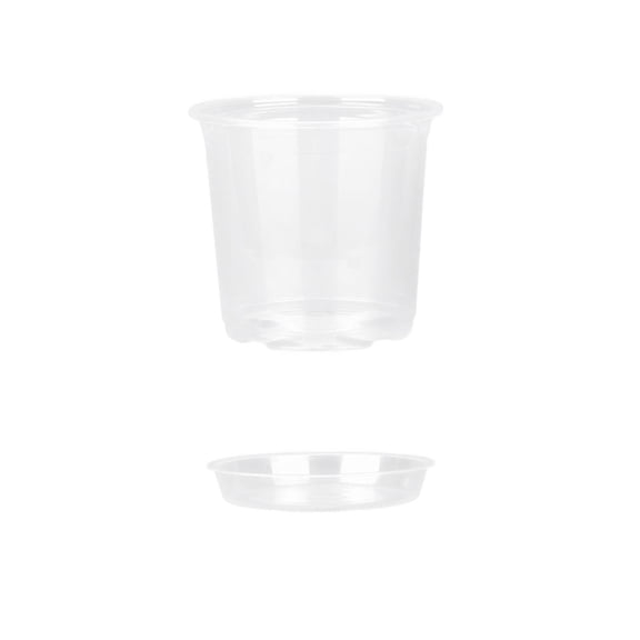 Clear Plastic Plant Pots with Drainage Holes and Saucers, 6-Inch, Transparent, for Seedlings and Indoor Gardening