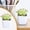 A2_Green 2.75x1.77in, variant on Veeogra Artificial Succulent Plants,Mini Plants Decor,Fake Faux Succulents In Pots,Realistic Desk Plants Decor,Modern Farmhouse Decor,Balcony Office Desk Coffee Table Decor,Home Office Bedroom Decor