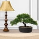 thumbnail image 4 of Bonsái artificial Briful Juniper con maceta de cerámica para interiores, 4 of 7