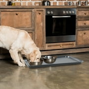 Idotry 4-Pack Plastic Large Tray, Boot Trays, 25.19 X 17.51, Gray