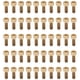 thumbnail image 1 of Tornillo, 50 piezas Tapa de enchufe hexagonal Tornillo de enchufe hexagonal Tornillo de enchufe hexagonal Respuesta rápida, 1 of 9