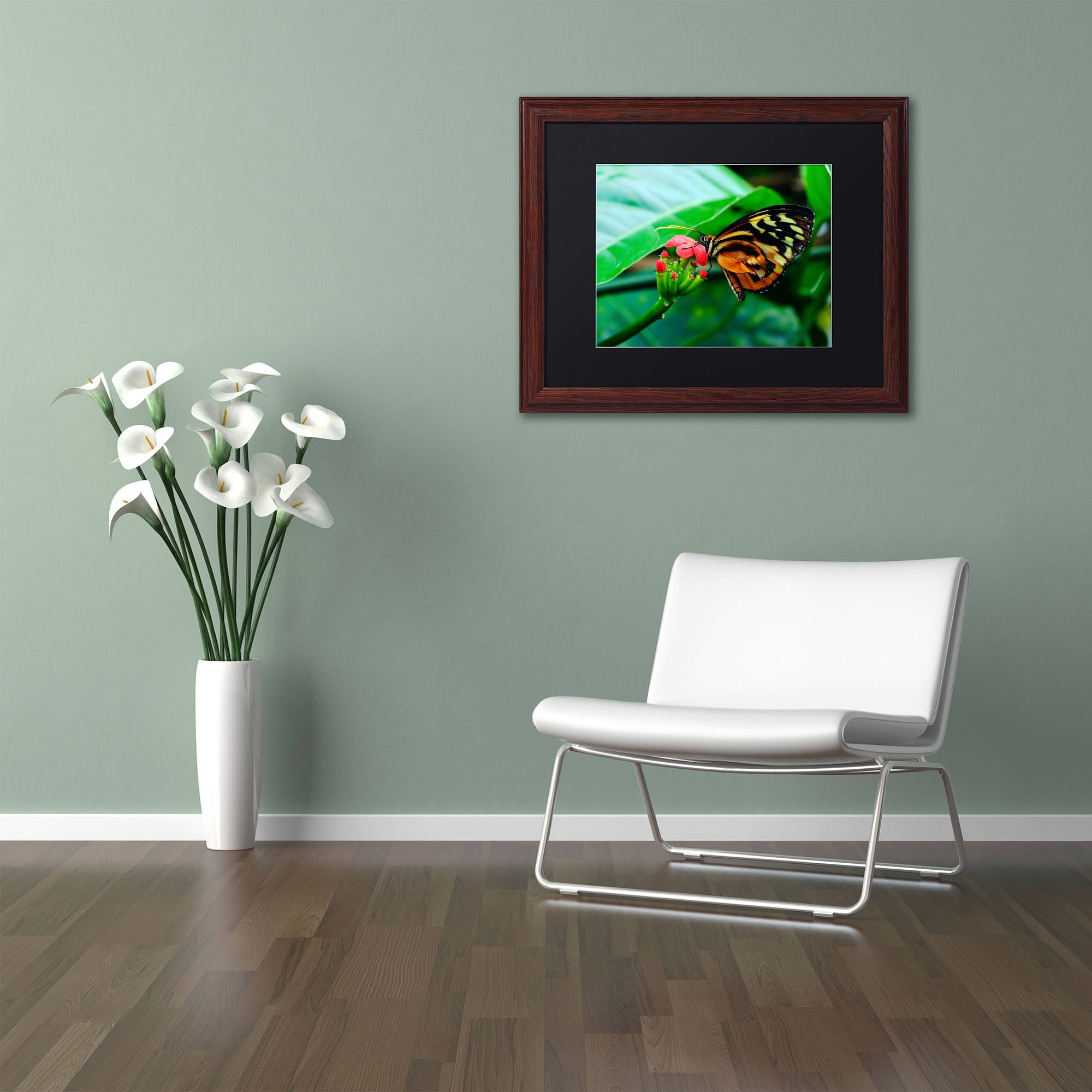 Trademark Fine Art "Cream Spotted Tigerwing" Canvas Art by Kurt Shaffer, Black Matte, Wood Frame