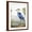 Brown Frame, variant on Art.com Blue Heron Art Print by Aimee Wilson, 24" x 32"
