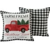 Mainstays Holiday Vintage Truck Plaid Decorative Throw Pillow Set, 17 x17 , 2 Pack