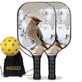 thumbnail image 1 of Pickleball Factory PB0004-1-G Pickleball Starter Set - Peace Bird Best Pickleball Paddle, Glassfiber Graphite, 1 of 1