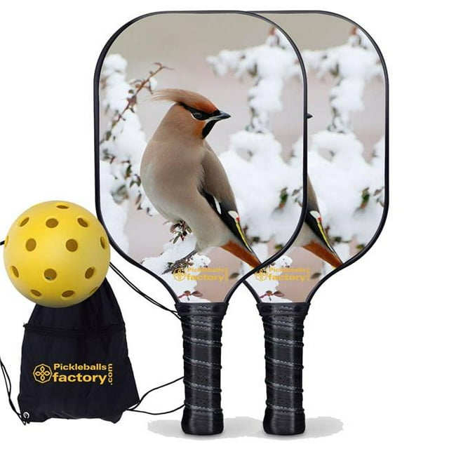 Pickleball Factory PB0004-1-G Pickleball Starter Set - Peace Bird Best Pickleball Paddle, Glassfiber Graphite