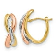 thumbnail image 1 of Beautiful Leslie's 14K Tri-color Polished Earrings, 1 of 2