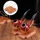thumbnail image 3 of Soporte para pipa perfke estante, 3 of 5