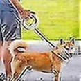 thumbnail image 2 of Nylon Pet Leash With Hand Brake Retractable Dog Leash With Led, 2 of 5