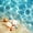 Blue Beige, variant on Erosebridal Sea Beach Quilt King,Spotted Starfish Shell King Coverlet Set For Boys,3-Piece