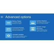Computer Werx Windows 11 Home 64 Bit Repair, Recover, Restore & Reinstall DVD Software