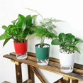 thumbnail image 3 of 1Pc Plant Pot Self Watering Clear Plastic Flowerpot Double-Layer Water Storage Red, 3 of 5