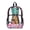 Capybara Book Pattern Pink, variant on PVC Clear Backpack for Kids Heavy Duty Transparent Bookbag See Through School Daypack Students Laptop Backpacks for Girls Boys, T-Rex Dinosaur Splash Print