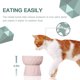 thumbnail image 3 of Para gatos, juego de comida para gatos de cerámica antivómitos, juego de comida para gatos elevado para perros pequeños, 13,5, 3 of 5