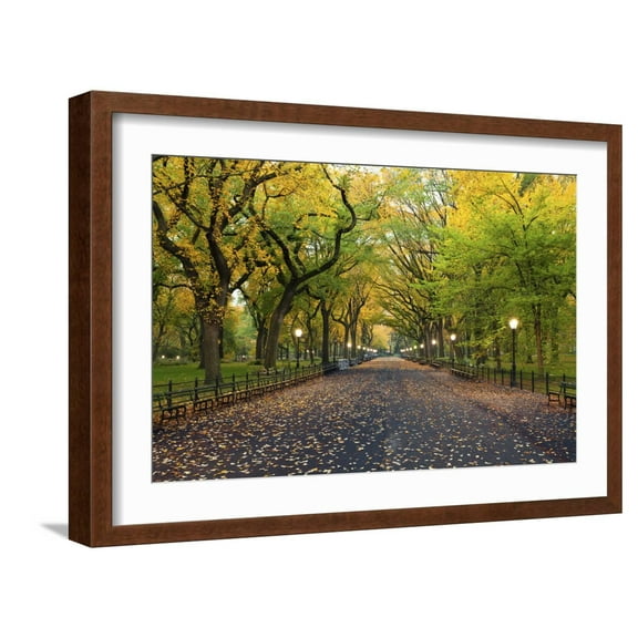 Art.com Central Park. Image of the Mall Area in Central Park, New York City, USA at Autumn. Photographic Print by Rudy Balasko, Brown Frame Wall Art, 23" x 17"