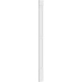 thumbnail image 3 of 9"W x 120"H x 2"P Two Equal Flat Panel PVC Pilaster w/Standard Capital & Base (Pair), 3 of 8
