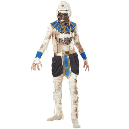 Child Boy Mummy Pharaoh's Revenge Costume by California Costumes 00446
