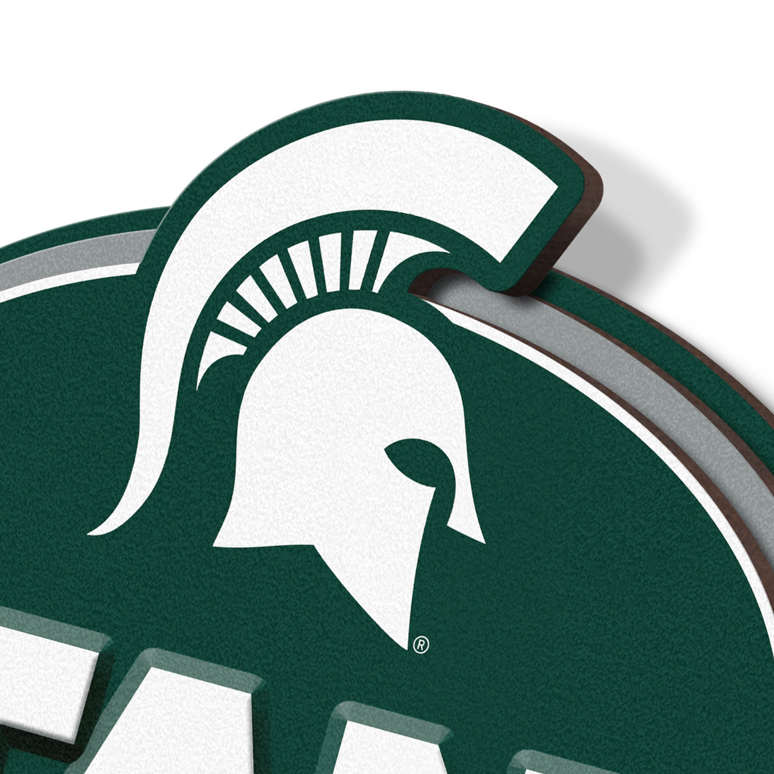 YouTheFan NCAA Michigan State Spartans Street Sign