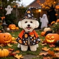 thumbnail image 6 of Shadoumai 2-Piece Halloween Pet Costume Set with Cape and hat, Cat Pumpkin Costume, Fun Holiday Outfit for Small to Medium Dogs and Cats., 6 of 9