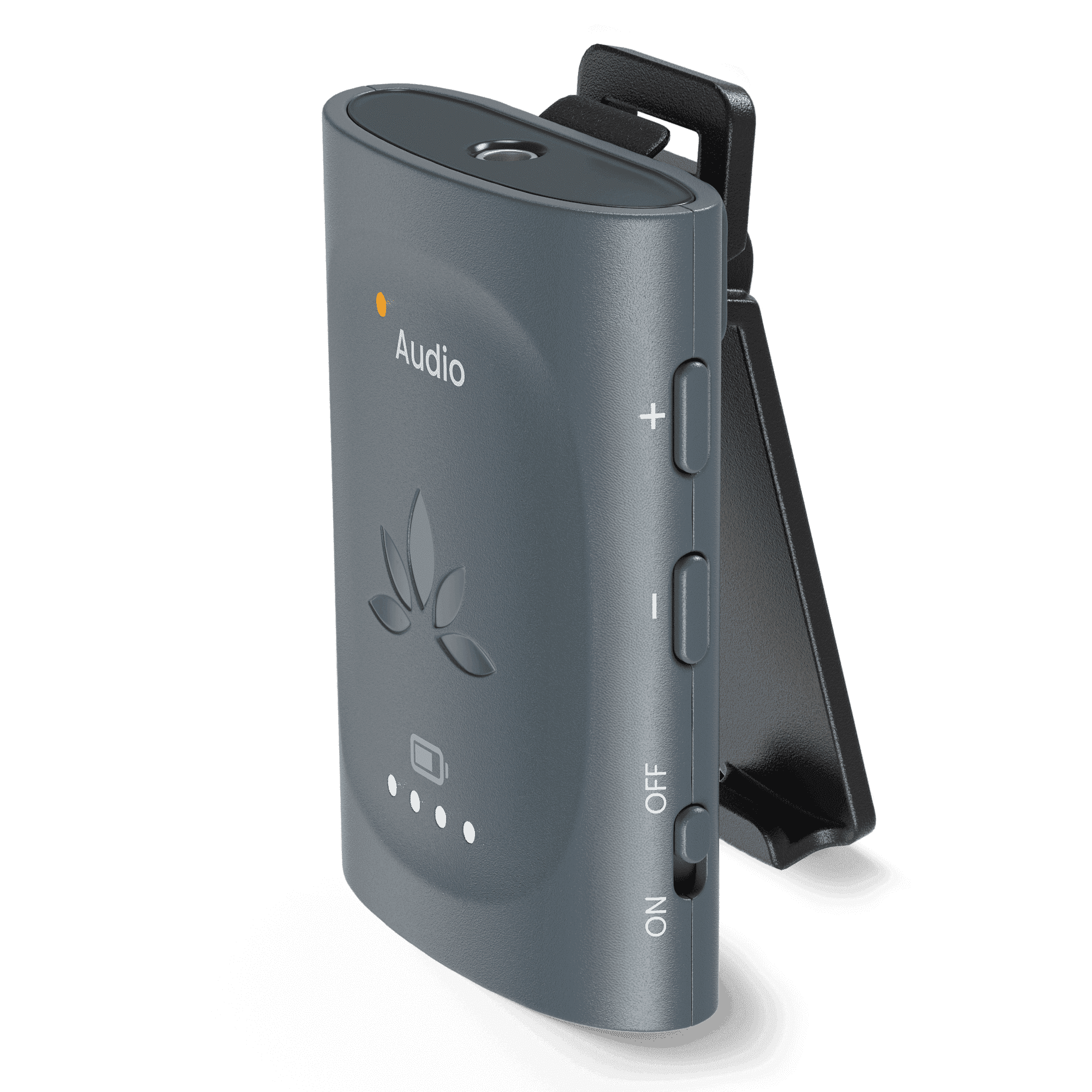WiiM Mini Smart Audio Streamer & Preamp with Multiroom, AirPlay2