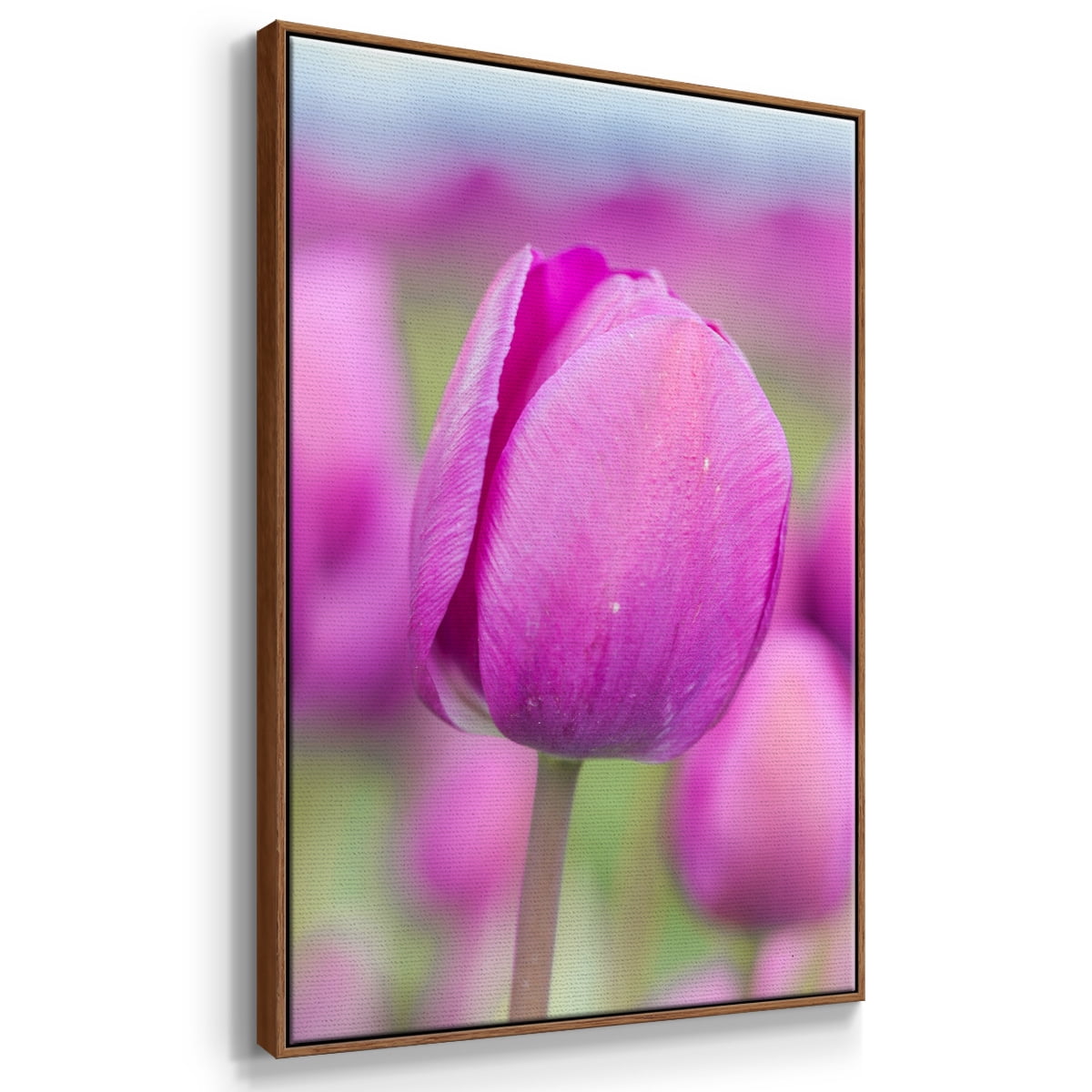 Magenta Stem Framed Premium Gallery Wrapped Canvas - Ready to Hang