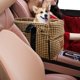 thumbnail image 4 of Asiento para perros desmontable portátil para accesorios Amarillo Gloria Asiento de coche de cachorro, 4 of 9