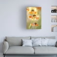 thumbnail image 2 of Canvas Wall Art - Mandy Disher 'Helenium' Wall Art for Living Room, Bedroom, or Office D?cor by Trademark Fine Art - 16 x 24 Inches, 2 of 4