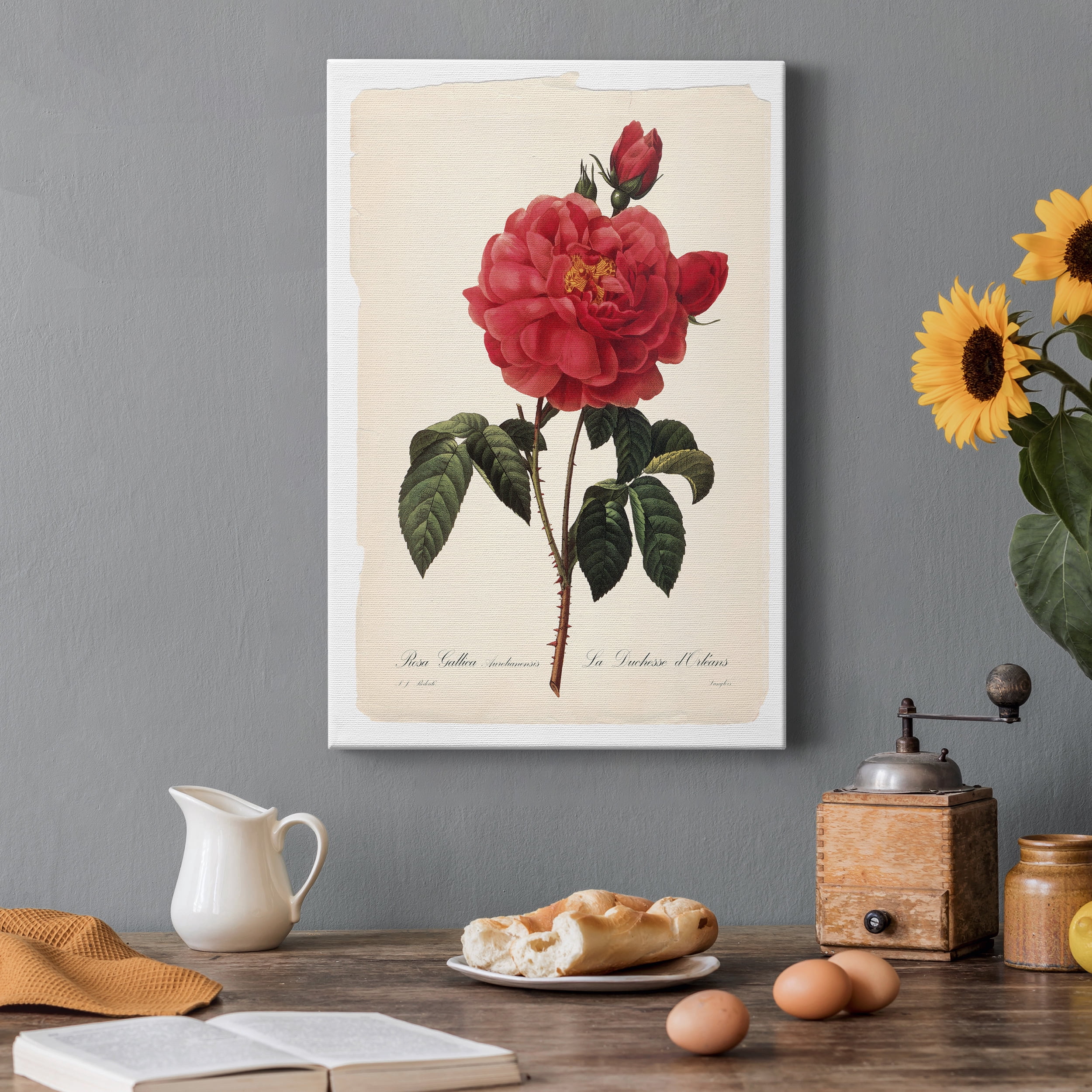 Red Botanical III Premium Gallery Wrapped Canvas - Ready to Hang - 8 x 12