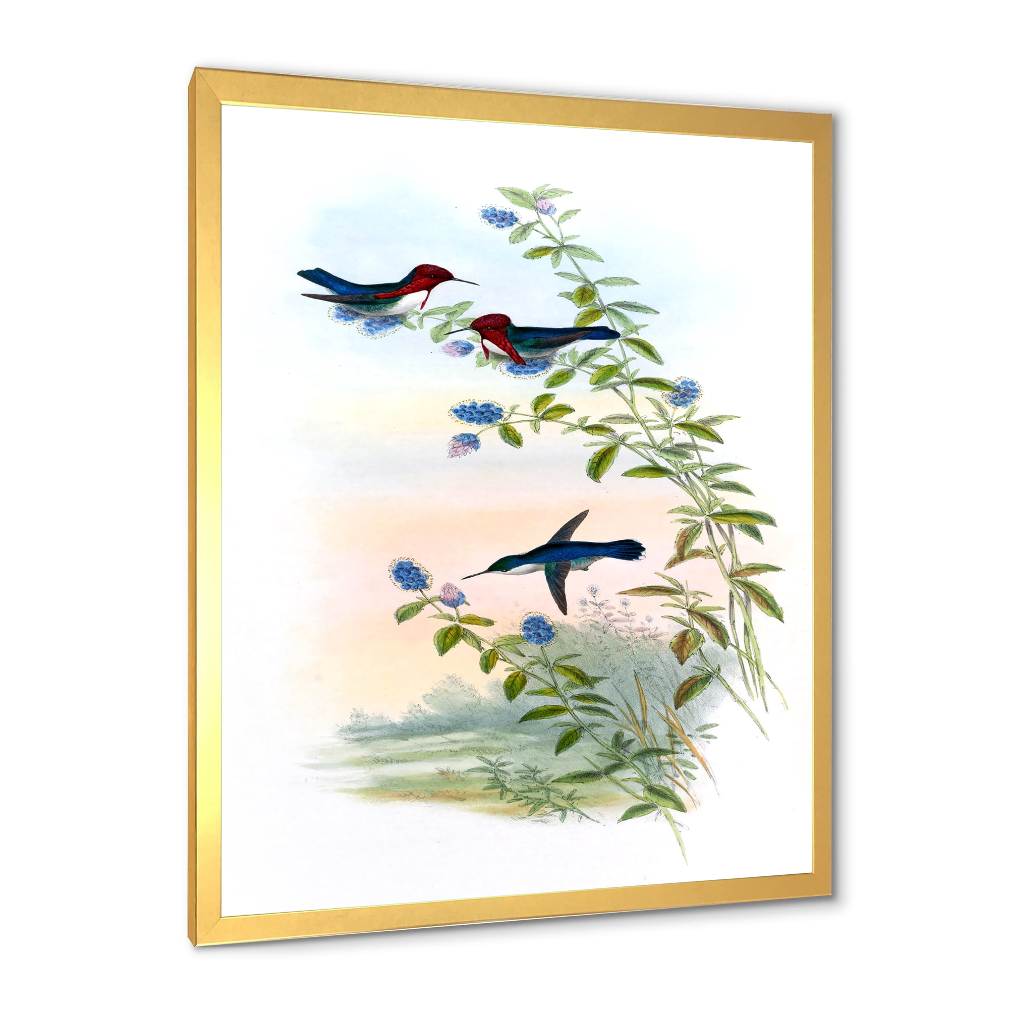 Designart 'Ancient Hummingbird II' Traditional Framed Art Print
