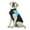 Blue, variant on ZDWQFA Waterproof Cold-proof Dog Warm Vest Jacket Coat Winter Clothes for Small Medium Large Dogs Pets