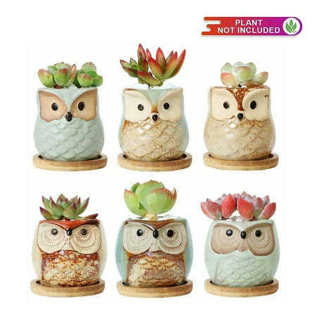 2.5 Inch Owl Ceramic Succulent Planter Pots with Bamboo Tray Set of 6, Flowing Glaze Porcelain Handicraft Plant Holder Container Gift for Mom Sister Aunt Best for Home Office Garden (Best Plants For Home In India)