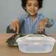 thumbnail image 4 of 1 tanque de plástico para tortugas, práctico comedero para tortugas, terrario para reptiles., 4 of 6