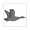 White, variant on CafePress - Grey Goose Sticker - Square Sticker 3" x 3"