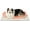 Ivory White, variant on Self Heating Pet Mat for Cats and Dogs, Thermal Cozy Indoor Bed Pad with Non-Slip Bottom, Machine Washable No-Electric Warm Mat, 24 x 18 Inches