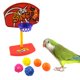 thumbnail image 2 of Pet Birds Chew Parakeet Bell Balls Parrot Toys Birdie Basketball Hoop Prop, 2 of 6
