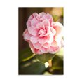 thumbnail image 2 of Gango Home Decor Bokeh Rose II by Karyn Millet (Printed on Paper); One 24x36in Fine Art Paper Giclee Print, 2 of 4