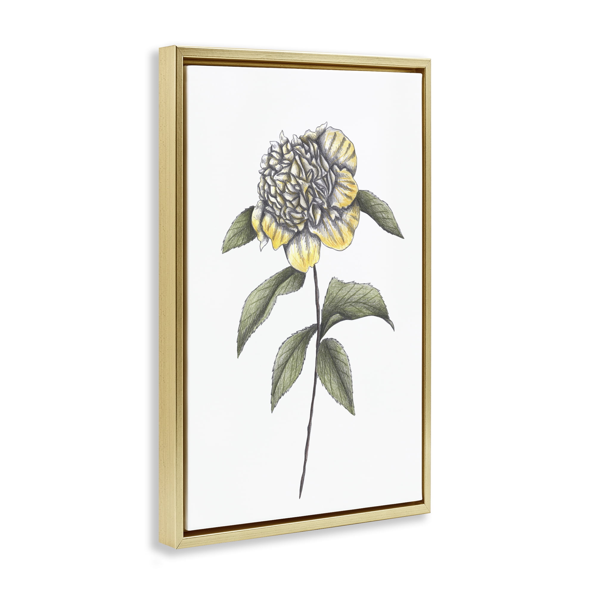 Camellia Flower Illustration Gold Framed Floater Canvas Wall Art, design by Cecilia Battaini