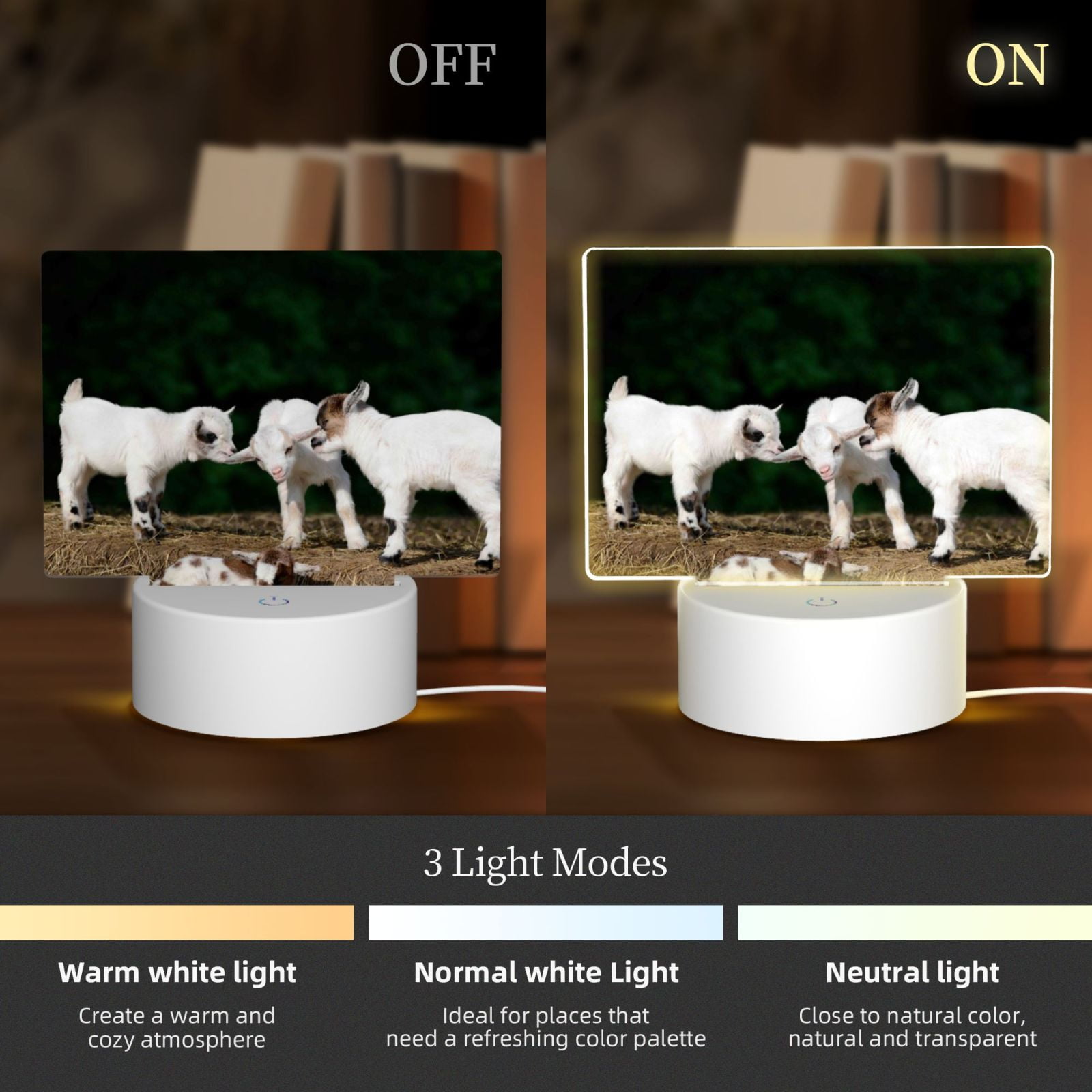 Hirioo Cute Goat Baby for Rectangular Acrylic with Night Light Best Gifts for Lover Girl Mom, Valentine's Day Anniversary Birthday Wedding Present