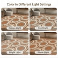 thumbnail image 7 of ODIKA 4'x6' Ultra-Soft Area Rug, Grain Annual Ring Border Concentric Rings Stump Cross Section Playful Expressive None Washable, Bare feet friendly, Silk-Touch for Bedroom Home office, 7 of 7