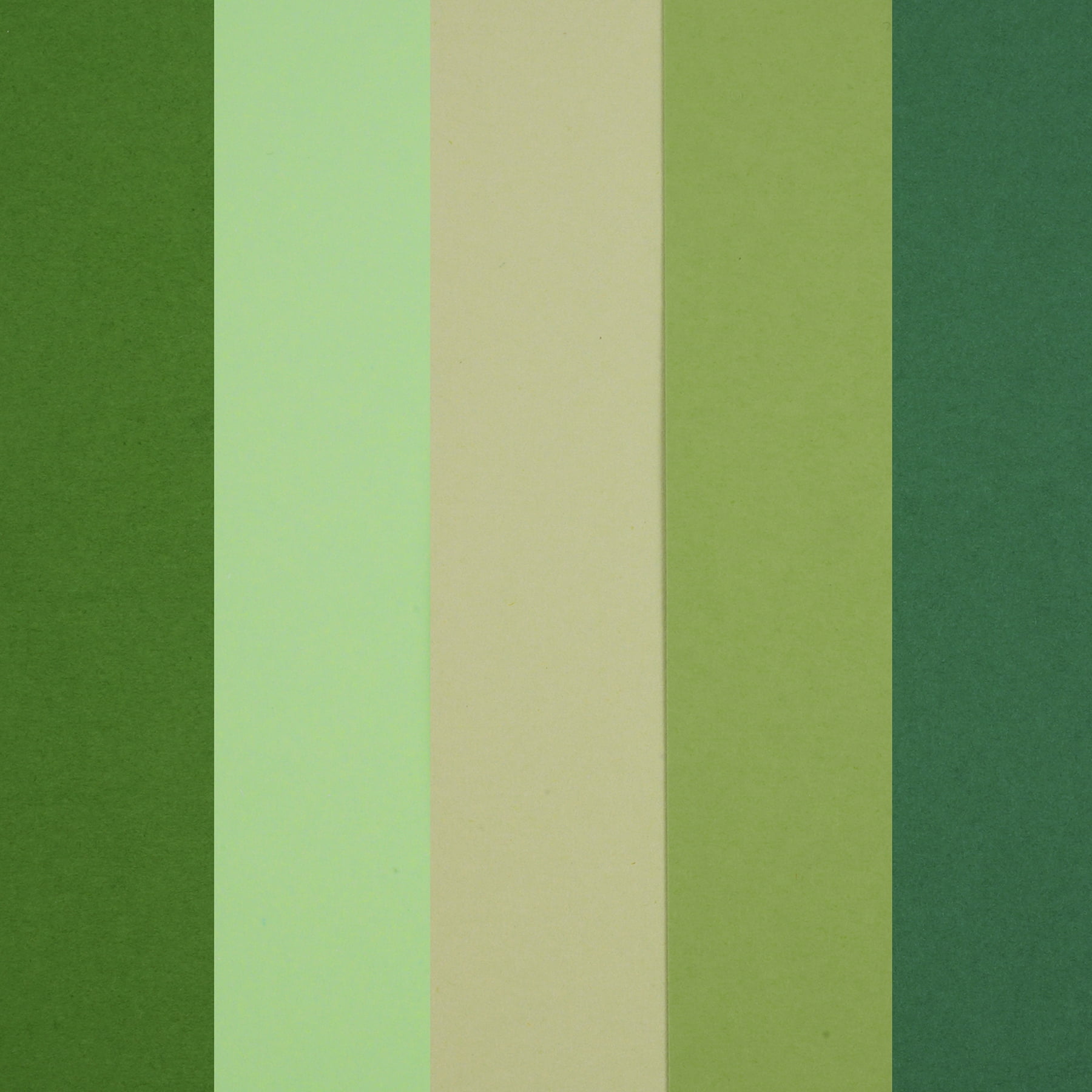 Recollections 600 Sheets Forest 8.5" x 11" Cardstock Paper Pad - Acid Free Paper for Scrapbooks, Invitations, Greeting Cards, and Arts & Crafts - Bulk 12 Pack