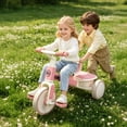 thumbnail image 7 of Wdmiya 3-in-1 Toddler Bike for 2+ Years Old, Boys Girls Tricycles for Toddlers Kids， Adjustable Seat, Trikes for Balance Training Baby Bike Infant Trike, Christmas & Birthday Gift, Pink, 7 of 7