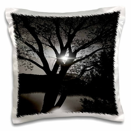 3dRose Black and White of Tree Reflecting on Baker Dam Reservoir in Southern Utah With Sun Behind - Pillow Case, 16 by