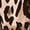 A02 Brown, variant on Leopard Print Pants for Women Side Stripes Straight Leg Lightweight Drawstring Pants Spring Summer Relaxed Fit Brown S