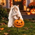 thumbnail image 3 of Halloween Garden Stake, Ghost Cat with Pumpkin, Metal Yard Decor, 3 of 4