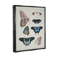 thumbnail image 4 of Stupell Industries Various Vintage Butterflies Animals & Insects Painting Black Floater Framed Canvas Art Print Wall Art, 17 x 21, 4 of 10